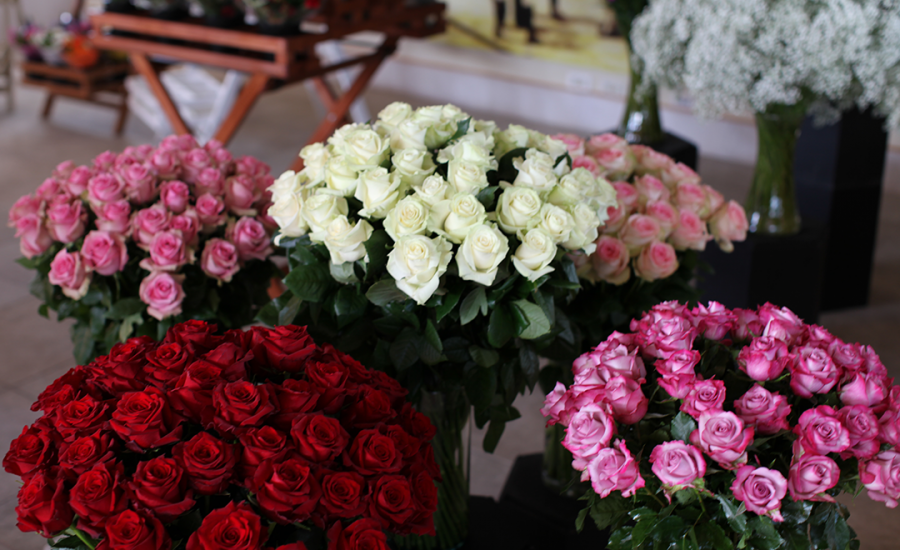 Colorful Rose Bouquets
