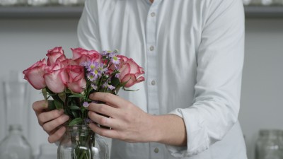 Arranging Pink Roses in Vase