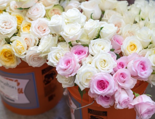Roses in Buckets