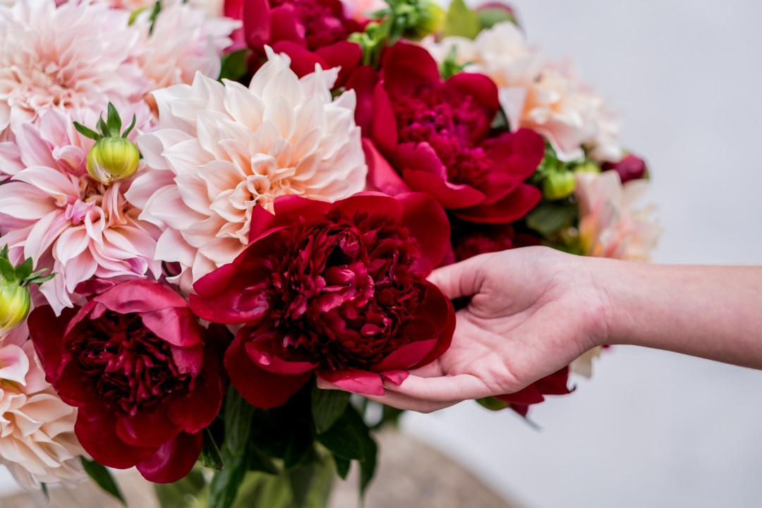 Delicate Fragrant Peonies