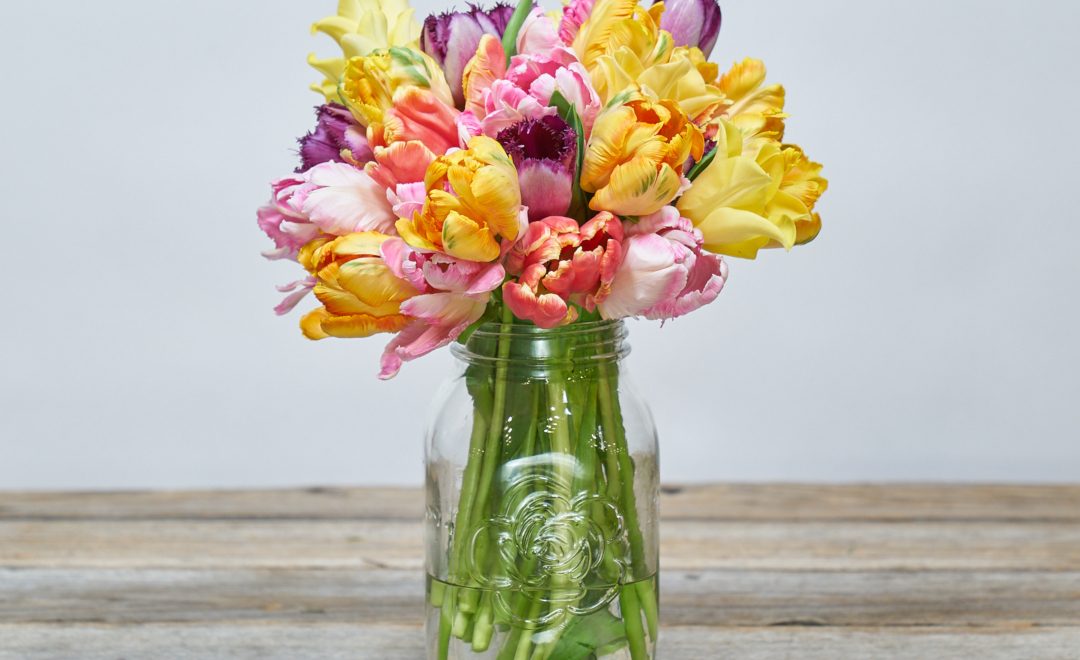 Do Floral Preservatives Work