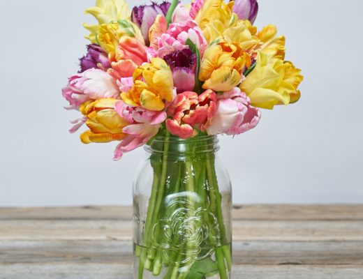 Do Floral Preservatives Work