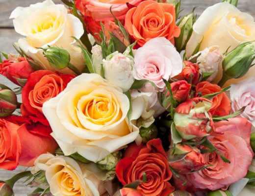 Rose Color Meanings