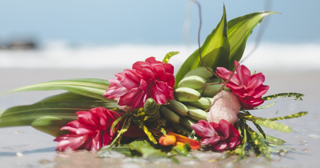 Tropical Flower Care