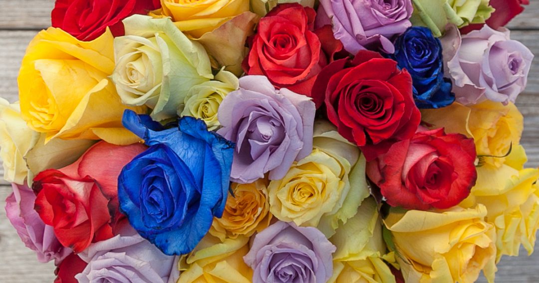 What Rose Colors Mean