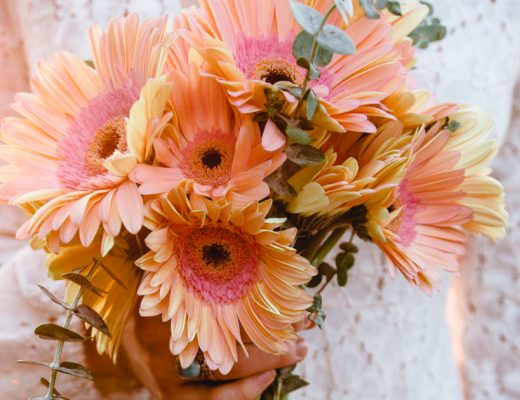 Best Smelling Flowers