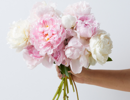 Pink and white peonies held by a hand