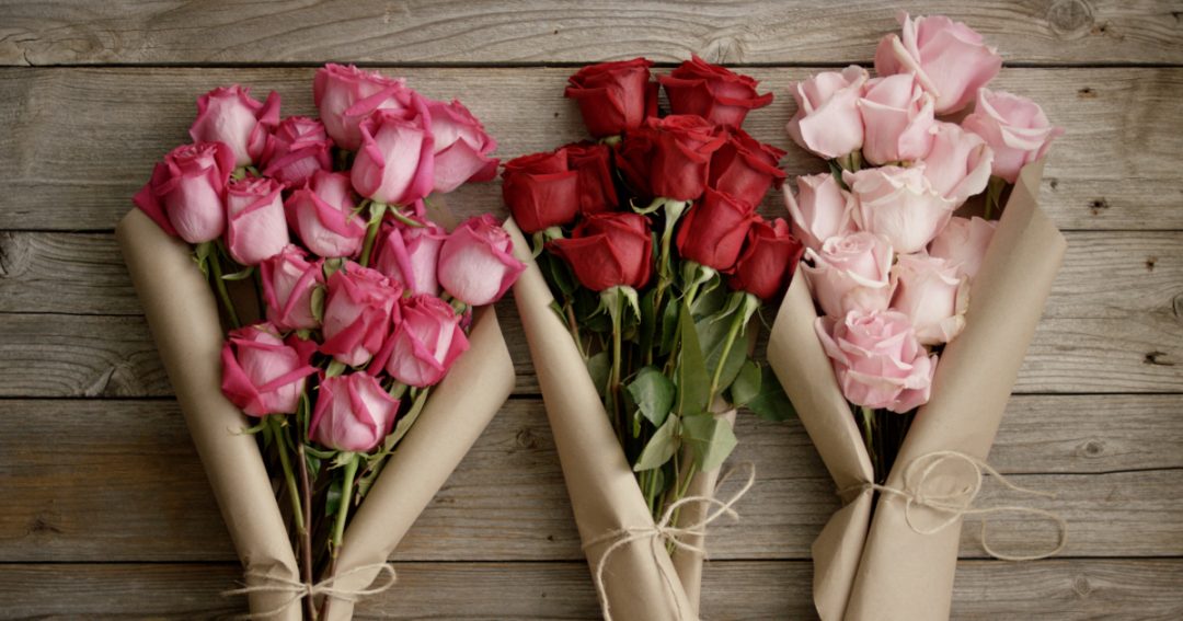 Rose Care