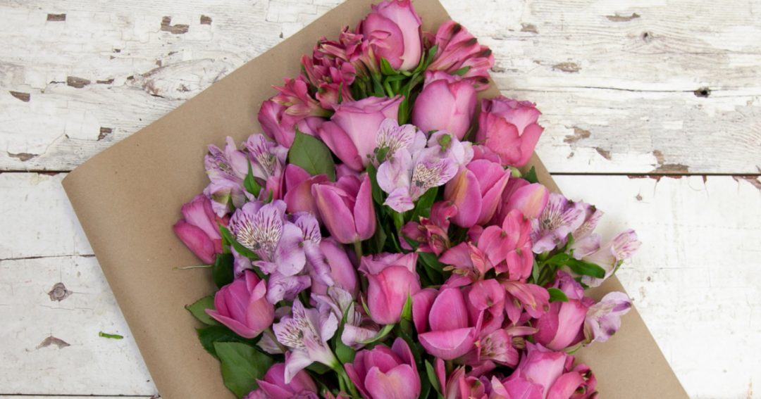 Where Do Flowers Get Their Color From