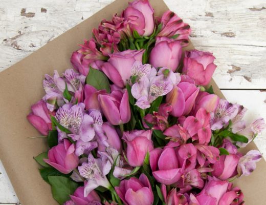 Where Do Flowers Get Their Color From