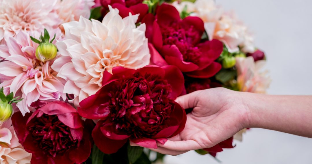 Which Flowers Last the Longest