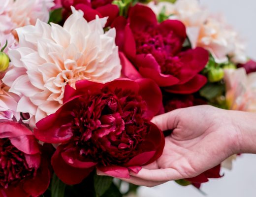 Which Flowers Last the Longest