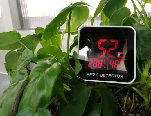 plant with meter to measure air quality