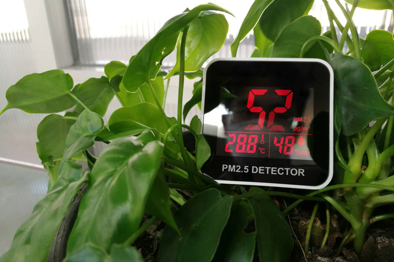 plant with meter to measure air quality