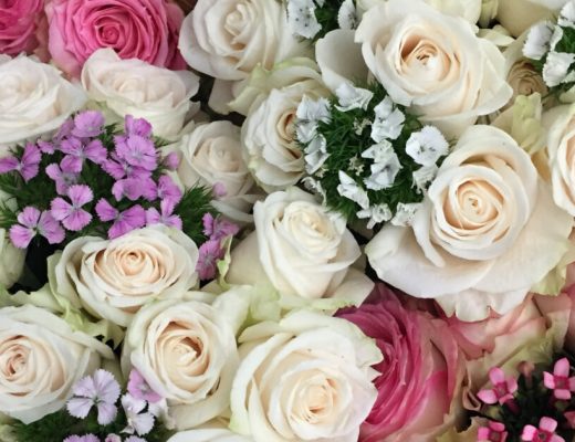 Facts About Roses