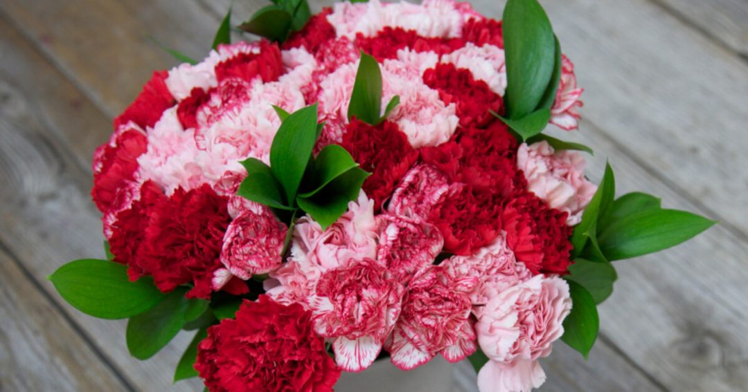 How To Dye Carnations