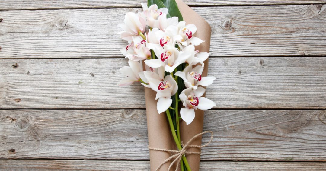 Orchid Facts