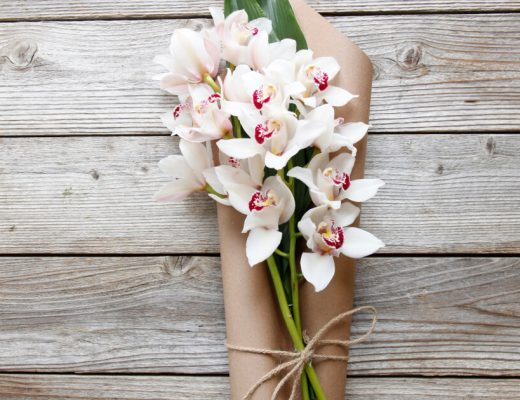 Orchid Facts