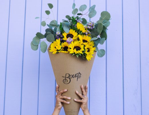 Sunflower Facts