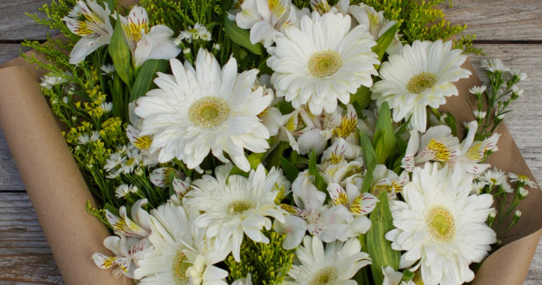 Types of Daisies