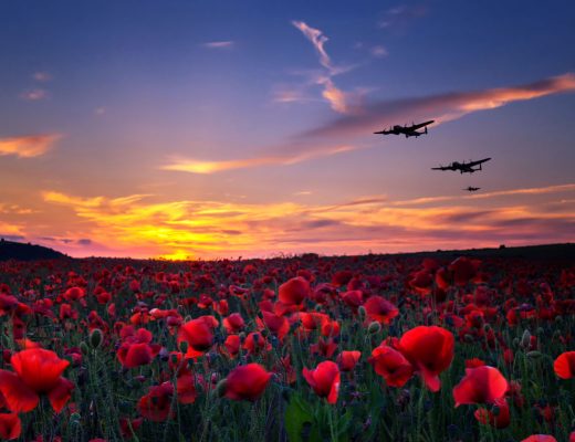 Field of red poppies with planes flying overhead