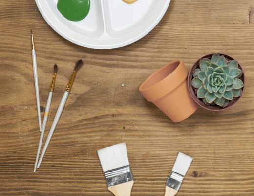 DIY Succulent Planter