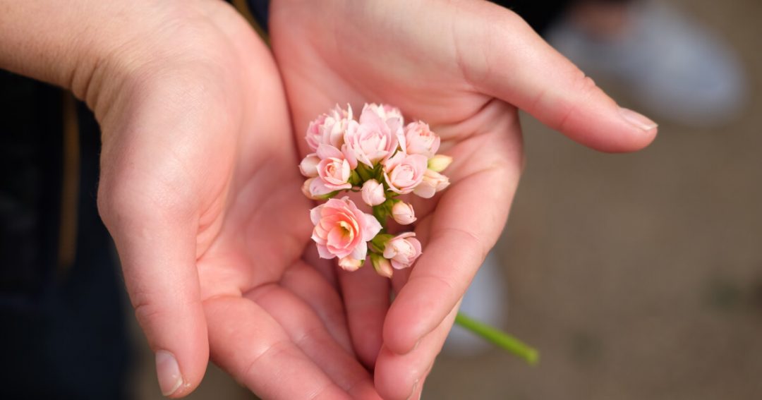 Flower Giving Etiquette