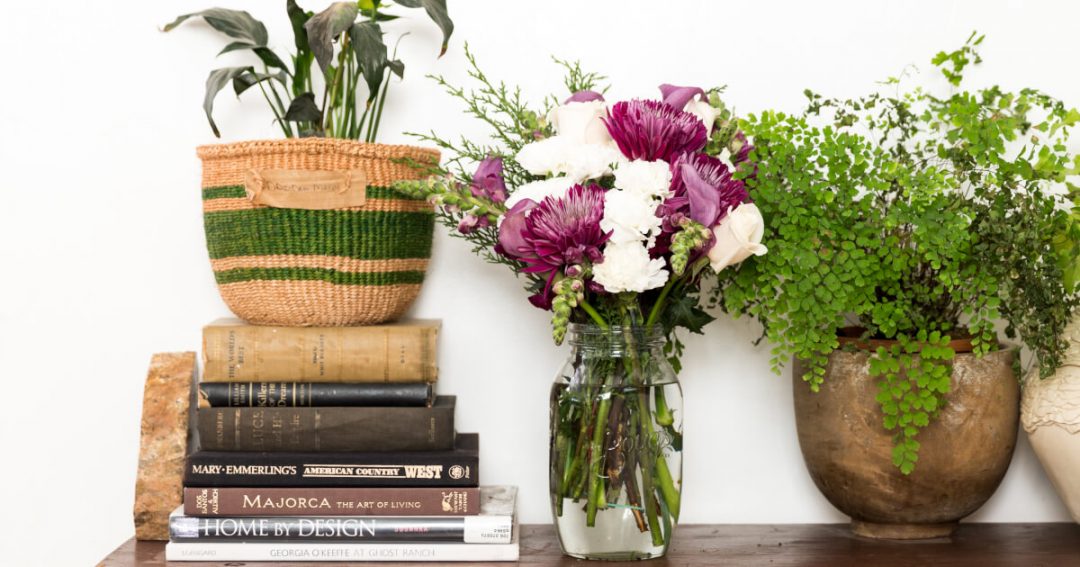Overwatering Plants