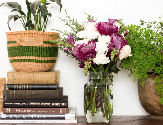 Overwatering Plants