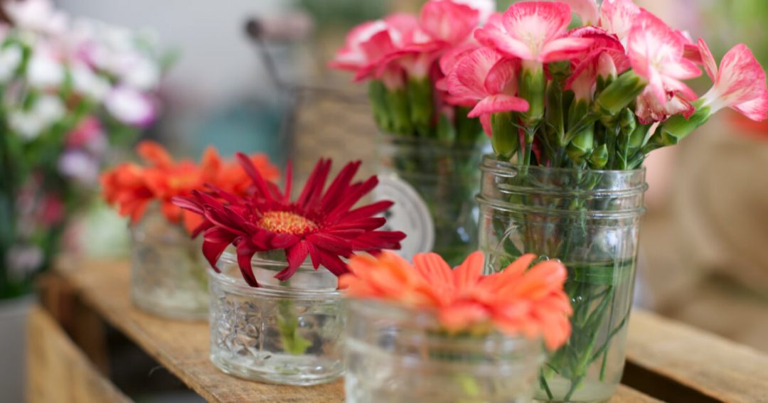 Best Indoor Plants for Home
