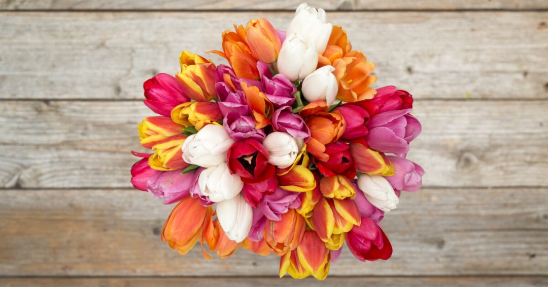 Tie-Dye Flowers