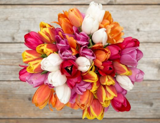 Tie-Dye Flowers