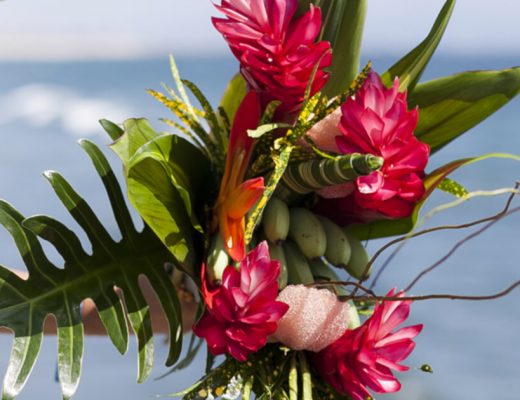Tropical Flowers All Occasions