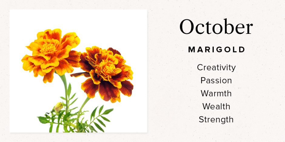 October Marigold