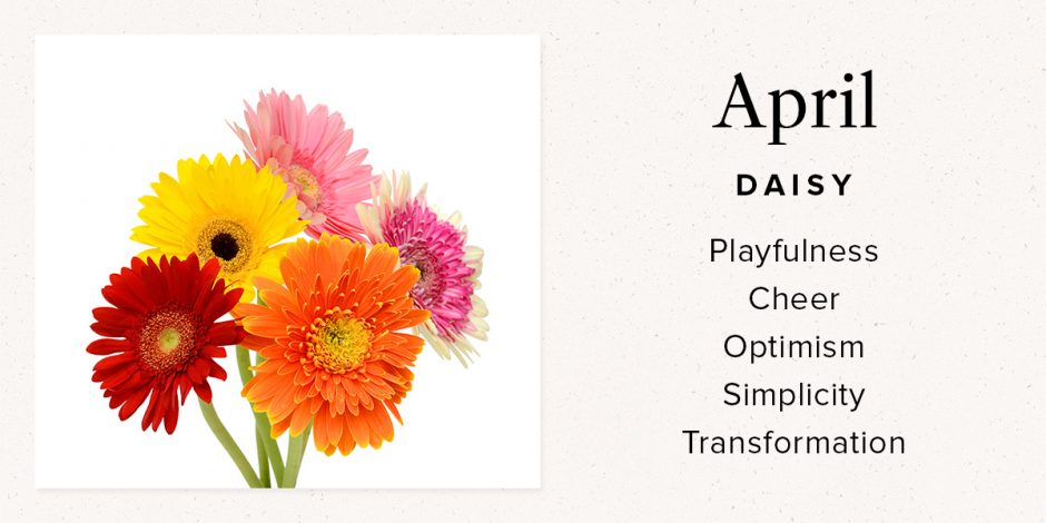 April Daisy