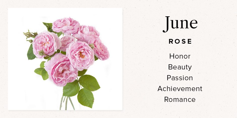 June Rose