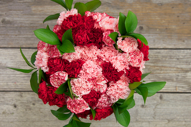 carnations in pink and red with greenery