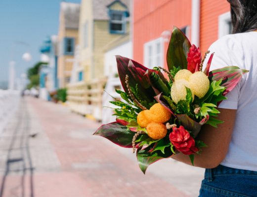 Tropical Flower Facts