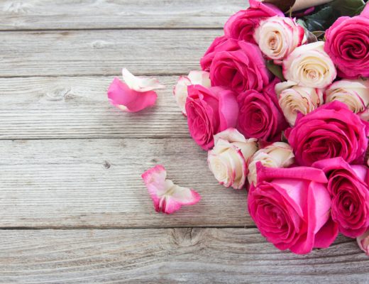 What Do Pink Roses Mean