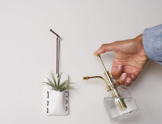 Indoor Plant Care