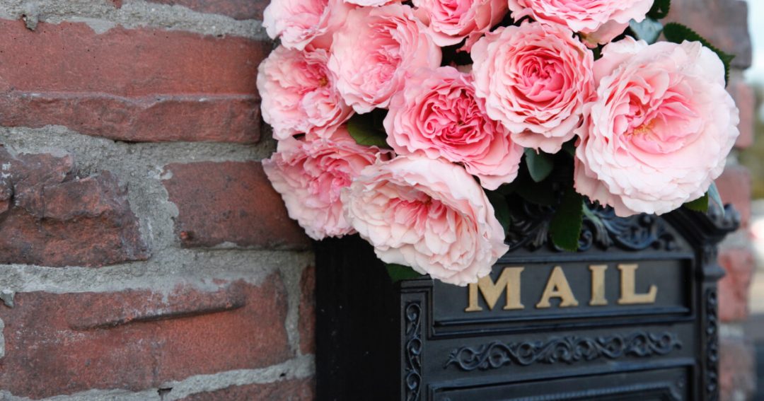 Last Minute Valentine's Day Gifts