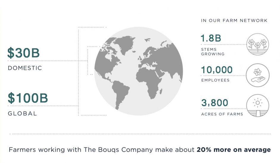 Bouqs By The Numbers