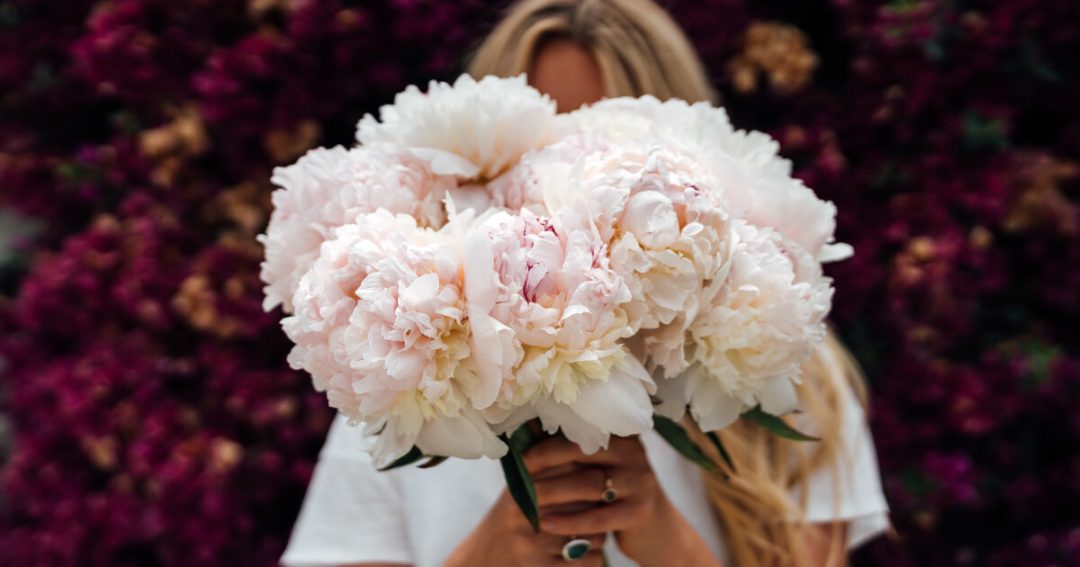 Fresh Cut Peonies For Sale
