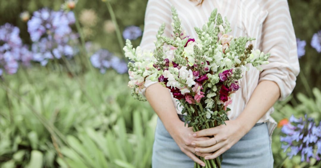 Best Spring Flowers