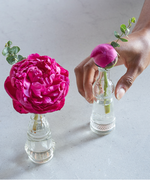 Peony Bud Form