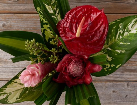 Anthurium Flower Facts