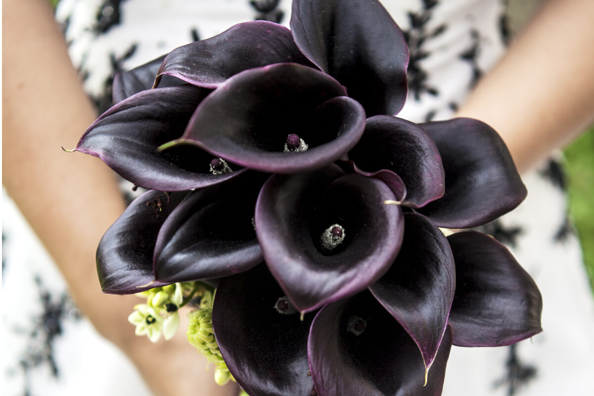 Black Wedding Bouquet