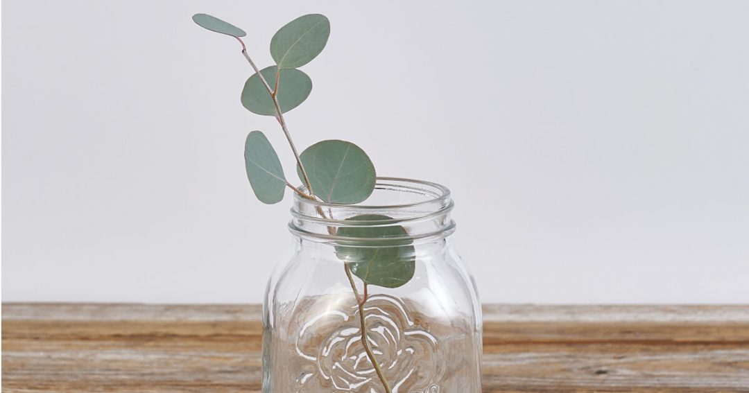 Eucalyptus Benefits