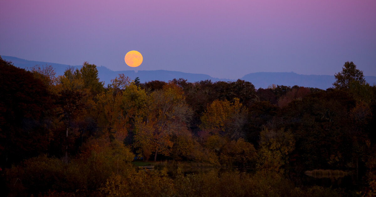 Fall Harvest Moon
