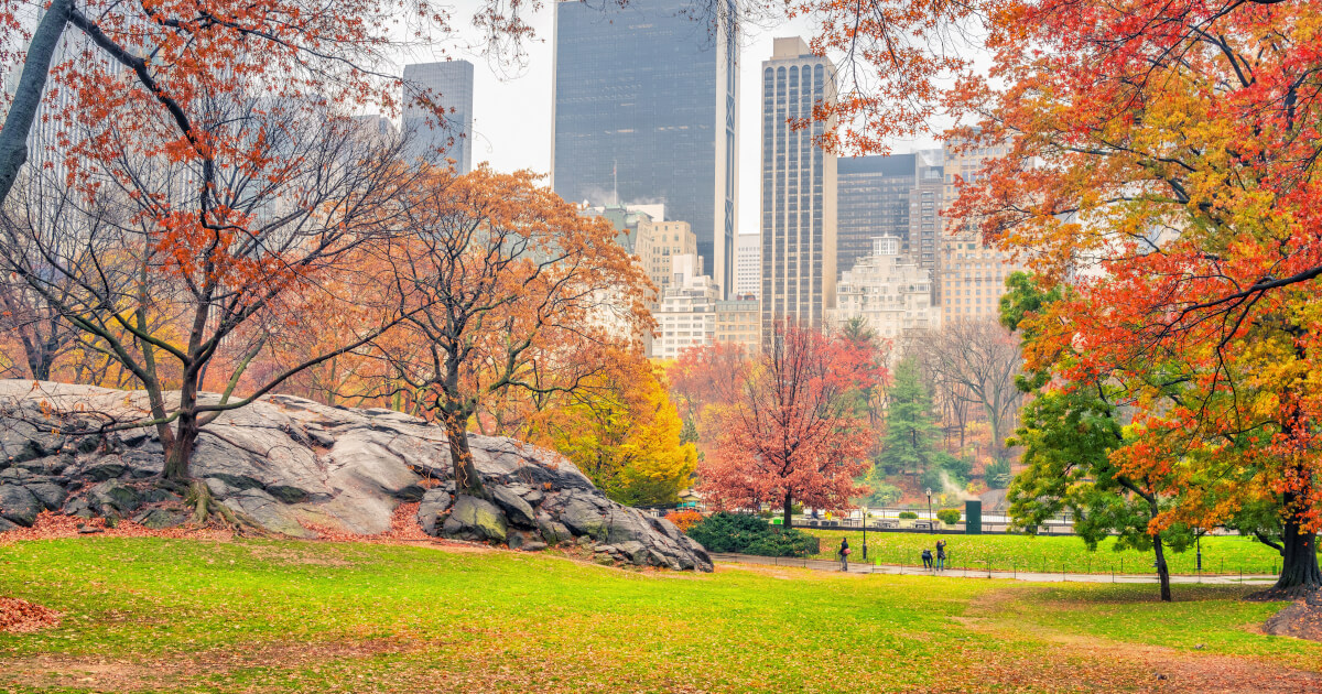 Fall in the City